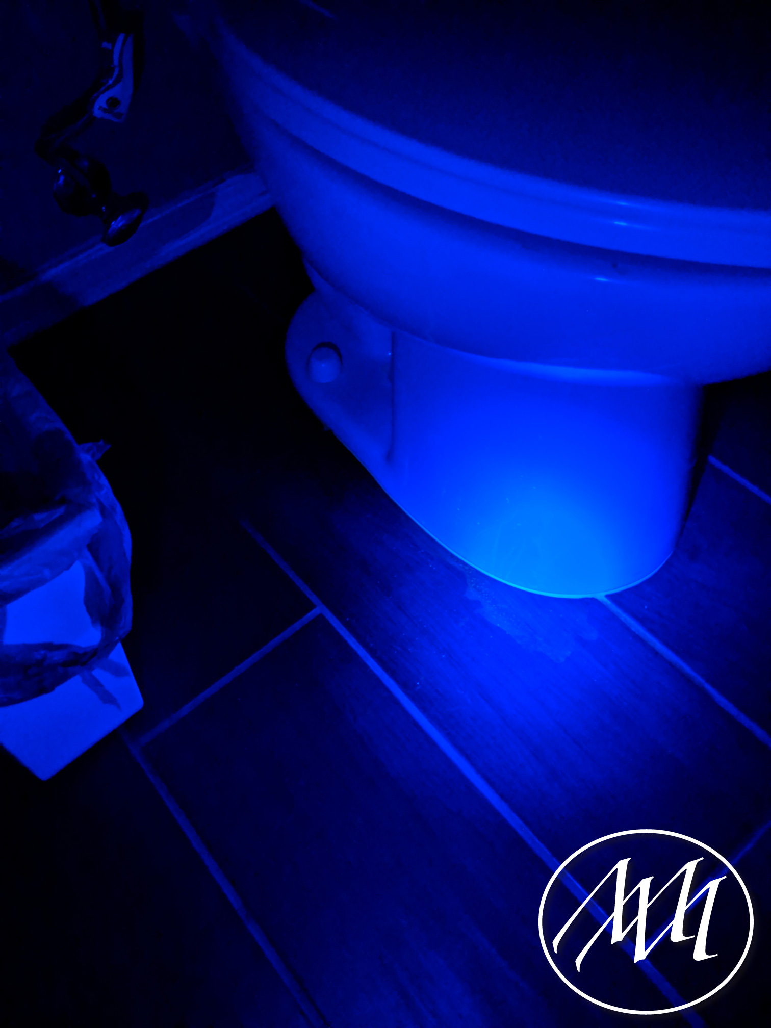 Shining UV light into the toilet : r/mildlyinteresting