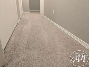 Vacuumed Carpet Hallway