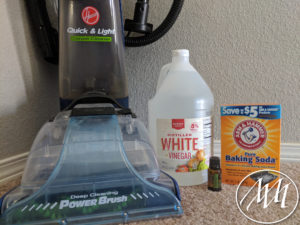 Materials needed to properly clean carpets