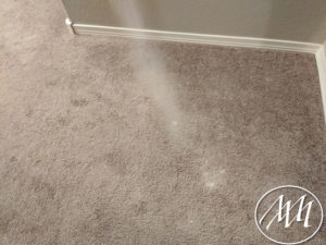 Sprinkle Baking Soda on Carpet