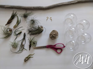 Materials needed to hanging terrarium with air plants