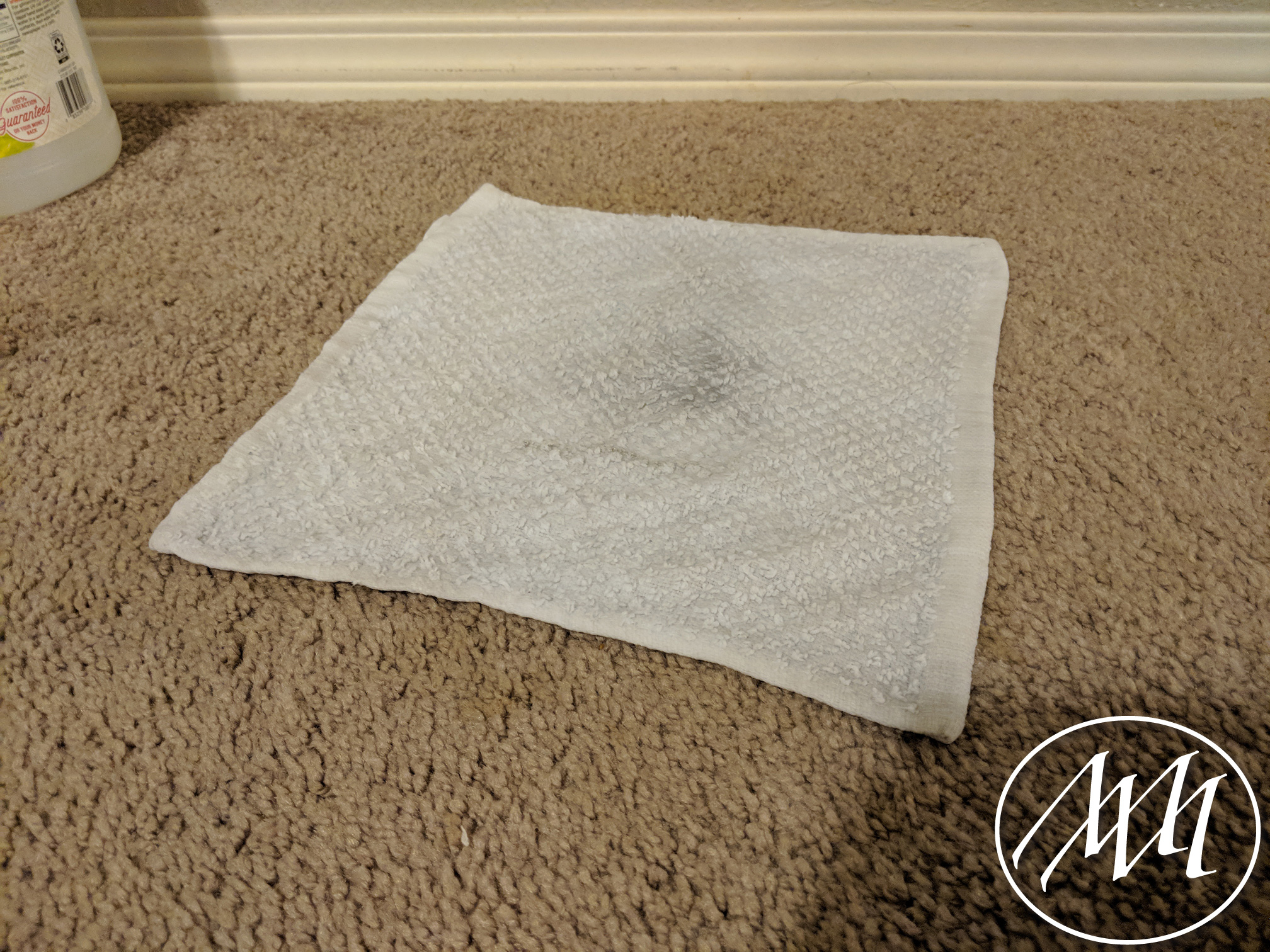 Carpet Stain Removal Trick | Michaeli Marler