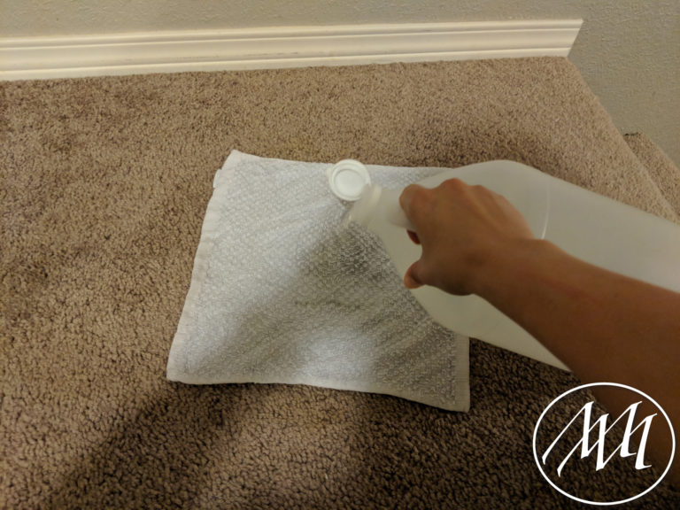 Image showcasing Carpet Stain Removal Trick | Michaeli Marler
