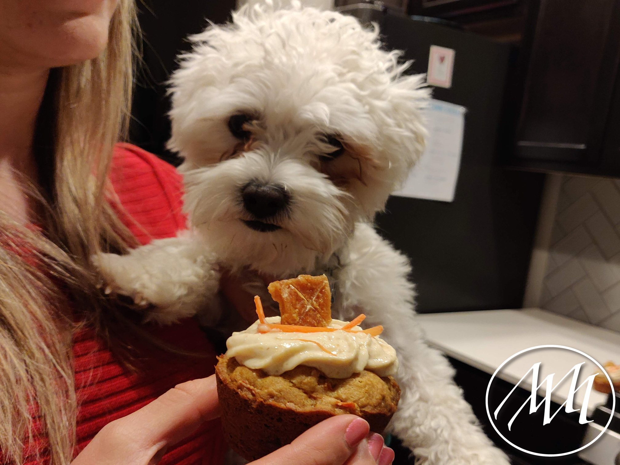 Carrot and Peanut Butter Pupcake